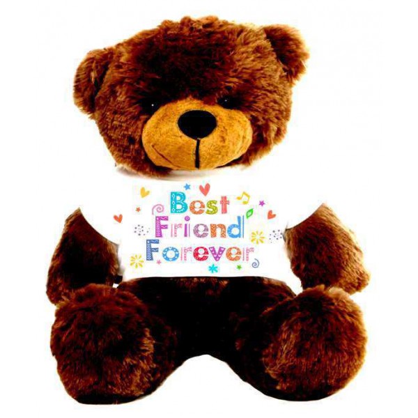 Brown 2 feet Big Teddy Bear wearing a Best Friend Forever T-shirt